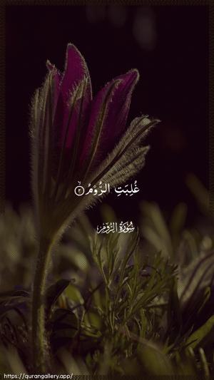 Ar-Room Ayah 2 - Arabic wallpaper