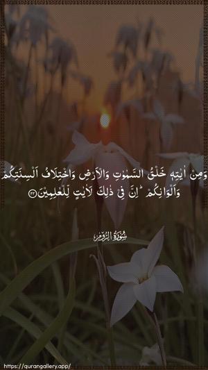 Ar-Room Ayah 22 - Arabic wallpaper