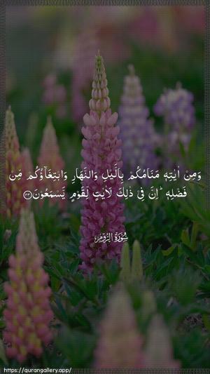 Ar-Room Ayah 23 - Arabic wallpaper
