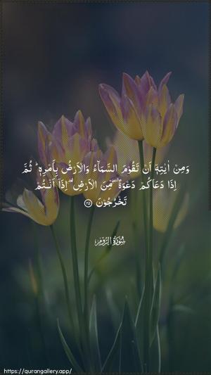 Ar-Room Ayah 25 - Arabic wallpaper