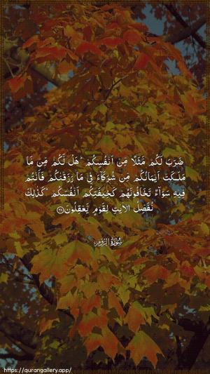 Ar-Room Ayah 28 - Arabic wallpaper