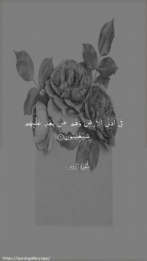 Ar-Room Ayah 3 - Arabic wallpaper
