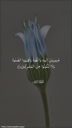 Ar-Room Ayah 31 - Arabic wallpaper