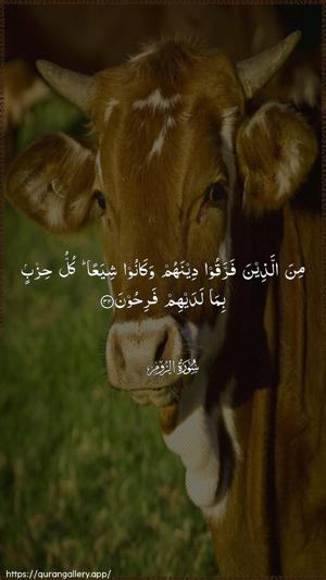 Ar-Room Ayah 32 - Arabic wallpaper