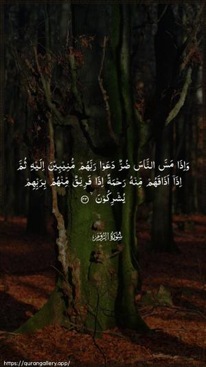 Ar-Room Ayah 33 - Arabic wallpaper