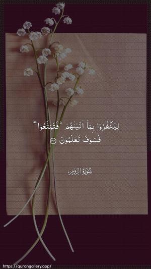 Ar-Room Ayah 34 - Arabic wallpaper