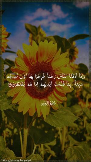 Ar-Room Ayah 36 - Arabic wallpaper