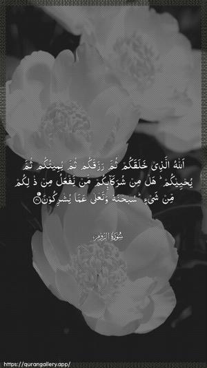 Ar-Room Ayah 40 - Arabic wallpaper