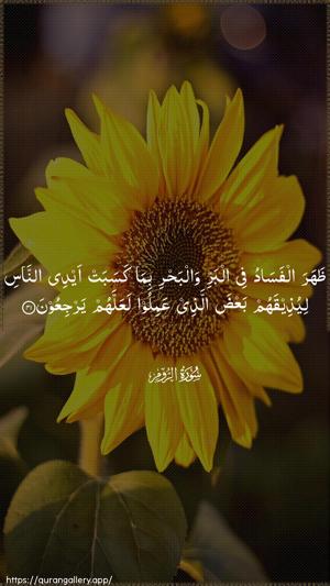 Ar-Room Ayah 41 - Arabic wallpaper