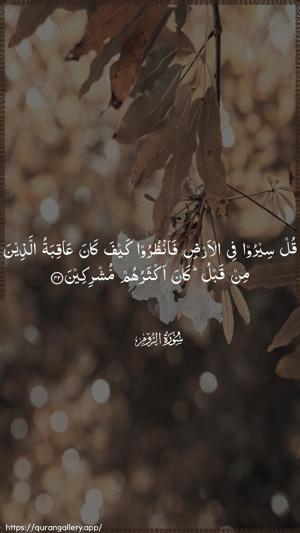 Ar-Room Ayah 42 - Arabic wallpaper