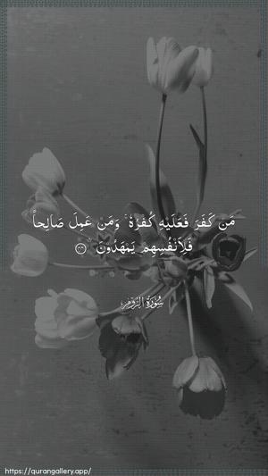 Ar-Room Ayah 44 - Arabic wallpaper
