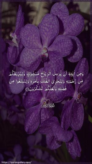 Ar-Room Ayah 46 - Arabic wallpaper