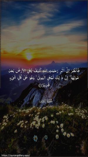 Ar-Room Ayah 50 - Arabic wallpaper