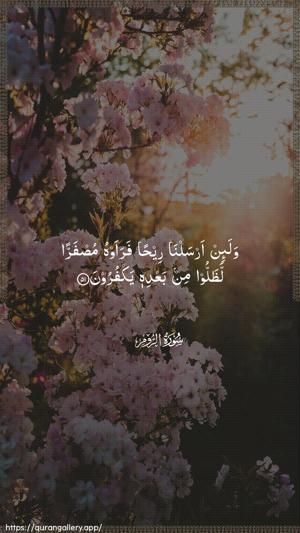 Ar-Room Ayah 51 - Arabic wallpaper