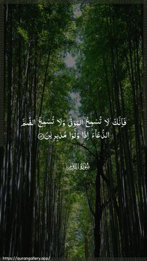 Ar-Room Ayah 52 - Arabic wallpaper