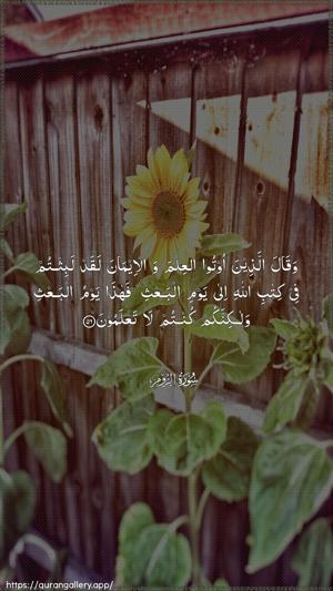 Ar-Room Ayah 56 - Arabic wallpaper