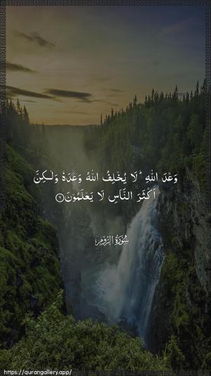 Ar-Room Ayah 6 - Arabic wallpaper