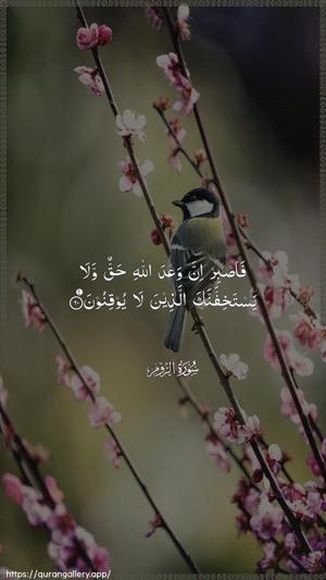 Ar-Room Ayah 60 - Arabic wallpaper