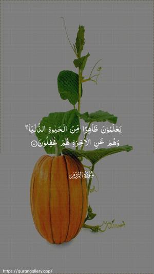 Ar-Room Ayah 7 - Arabic wallpaper