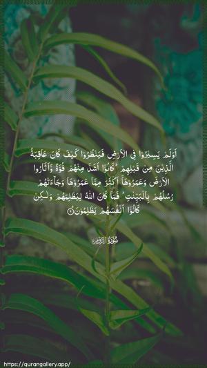 Ar-Room Ayah 9 - Arabic wallpaper