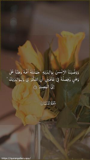 Luqman Ayah 14 - Arabic wallpaper