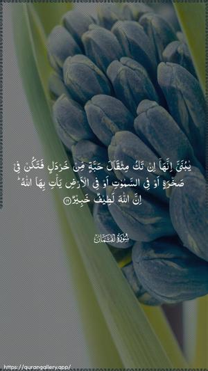 Luqman Ayah 16 - Arabic wallpaper