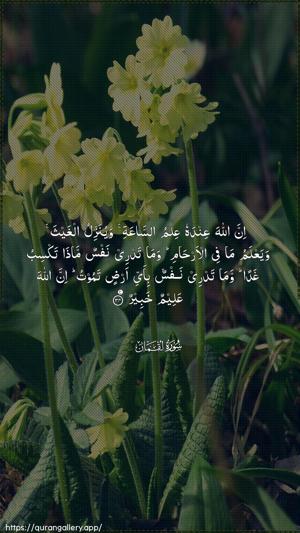 Luqman Ayah 34 - Arabic wallpaper