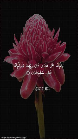 Luqman Ayah 5 - Arabic wallpaper