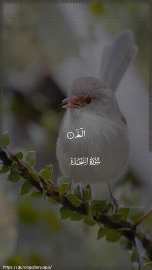 As-Sajda Ayah 1 - Arabic wallpaper