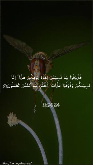 As-Sajda Ayah 14 - Arabic wallpaper