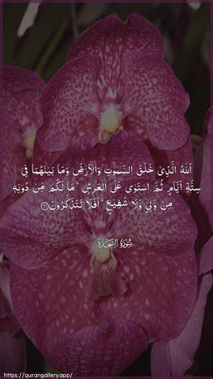 As-Sajda Ayah 4 - Arabic wallpaper