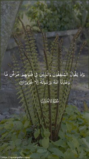 Al-Ahzaab Ayah 12 - Arabic wallpaper