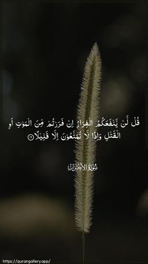 Al-Ahzaab Ayah 16 - Arabic wallpaper