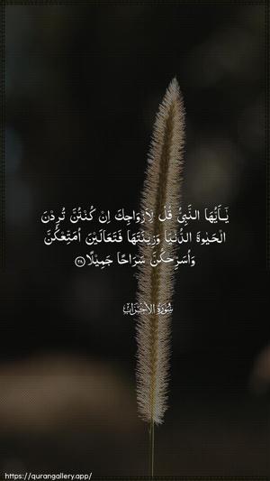 Al-Ahzaab Ayah 28 - Arabic wallpaper