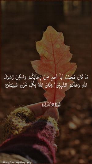 Al-Ahzaab Ayah 40 - Arabic wallpaper