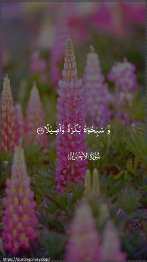 Al-Ahzaab Ayah 42 - Arabic wallpaper