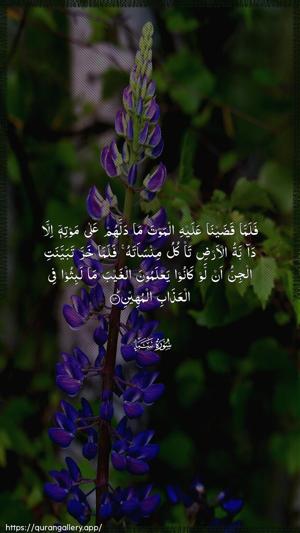 Saba Ayah 14 - Arabic wallpaper