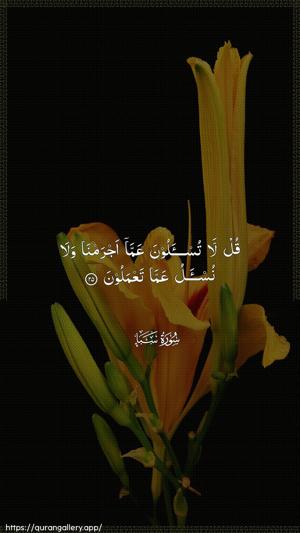 Saba Ayah 25 - Arabic wallpaper