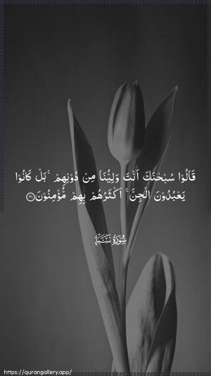 Saba Ayah 41 - Arabic wallpaper