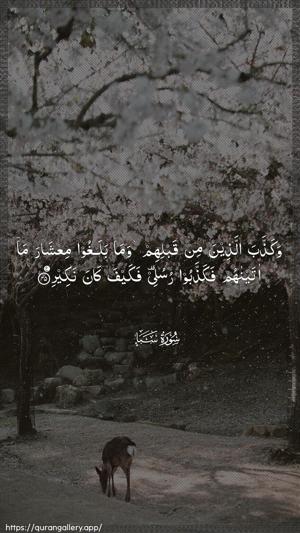 Saba Ayah 45 - Arabic wallpaper