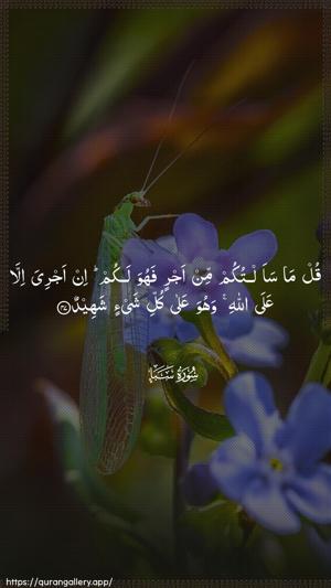 Saba Ayah 47 - Arabic wallpaper