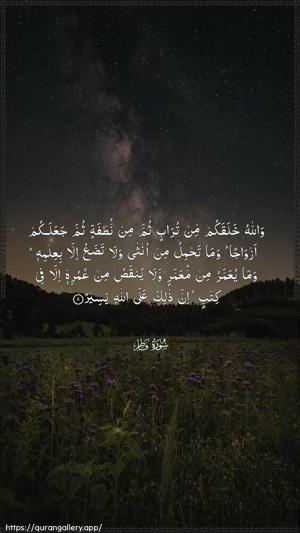 Faatir Ayah 11 - Arabic wallpaper