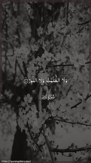 Faatir Ayah 20 - Arabic wallpaper