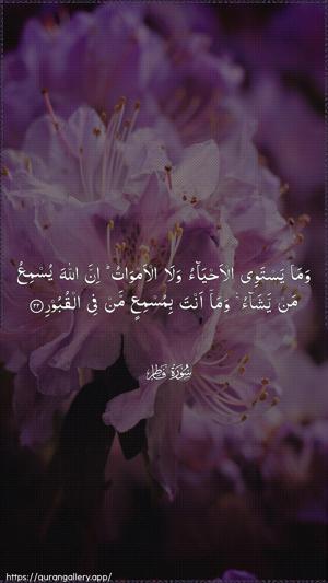 Faatir Ayah 22 - Arabic wallpaper