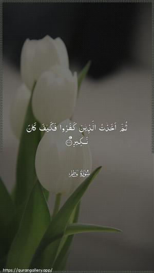 Faatir Ayah 26 - Arabic wallpaper