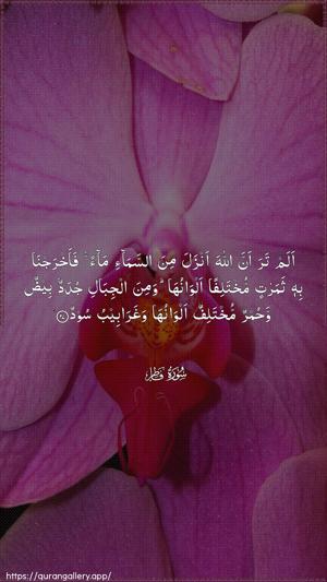 Faatir Ayah 27 - Arabic wallpaper