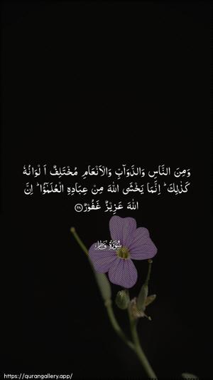 Faatir Ayah 28 - Arabic wallpaper