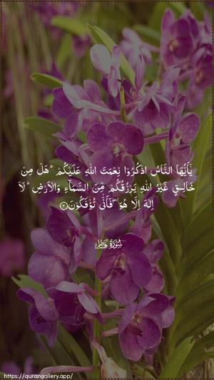 Faatir Ayah 3 - Arabic wallpaper