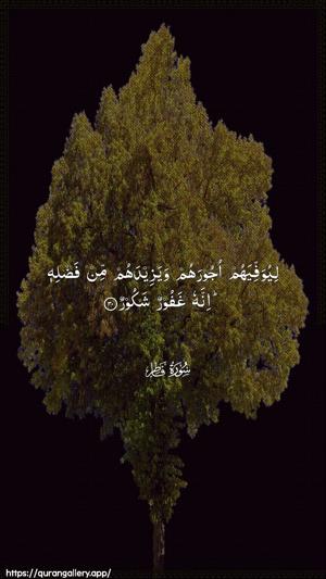 Faatir Ayah 30 - Arabic wallpaper