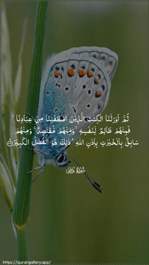 Faatir Ayah 32 - Arabic wallpaper